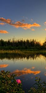 Nature,Landscape,Lakes