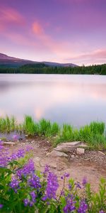 Nature,Landscape,Lakes