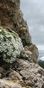 Nature,Montagnes,Paysage