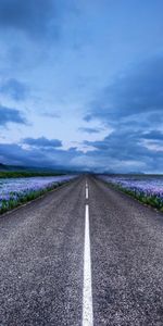 Nature,Landscape,Roads