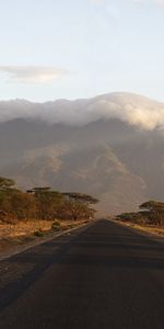 Nature,Landscape,Roads