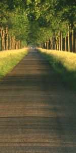 Naturaleza,Paisaje,Carreteras