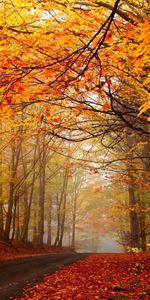 Naturaleza,Otoño,Paisaje,Carreteras