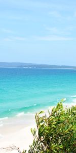 Nature,Landscape,Sand,Tropics,Beach