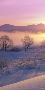 Nature,Neige,Paysage