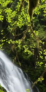 Paisaje,Naturaleza,Cascadas