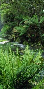 Paisaje,Naturaleza,Cascadas