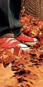 Nature,Leaves,Sneakers,Shoes,Autumn