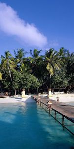 Nature,Lights,Lanterns,Shadows,Azure,Shed,Canopy,Pier,Island,Palms