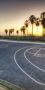 Basket Ball,Nature,Plateforme,Soir,Balisage,Cour De Récréation,Palms,Californie,Los Angeles