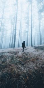 Nature,Miscellanea,Forest,Person,Miscellaneous,Fog,Human,Loneliness