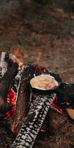 Nature,Miscellanea,Miscellaneous,Breakfast,Bonfire,Campsite,Camping