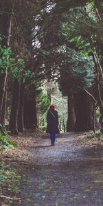 Nature,Forêt,Solitude,Divers,Fille