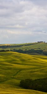 Nature,Montalcino,Tuscany,Italy,Fields