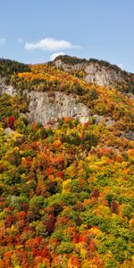 Nature,Mountain,Forest,Slope,Landscape,Autumn