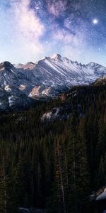 Nature,Mountain,Forest,Starry Sky,Dark,Night