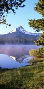 Nature,Mountain,Lake,Reflection,Wood,Tree,Fog,Trunk,Evaporation,Forest