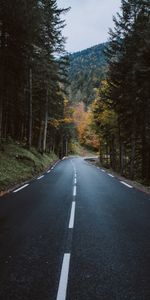 Nature,Mountain,Road,Turn,Forest