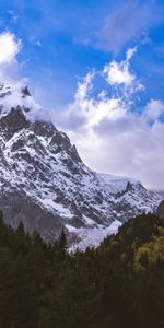 Nature,Mountain,Top,Trees,Snow,Vertex,Forest,Landscape