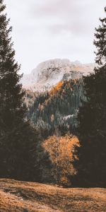 Nature,Mountain,Trees,Forest,Autumn