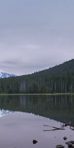 Nature,Mountain,Vertex,Forest,Landscape,Top,Lake