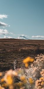 Nature,Mountain,Vertex,Landscape,Flowers,Top,Pasture