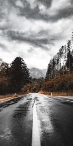 Route,Mouiller,Montagnes,Mouillé,Asphalte,Nature,Forêt