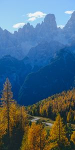 Brouillard,Montagnes,Arbres,Chemin,Automne,Nature