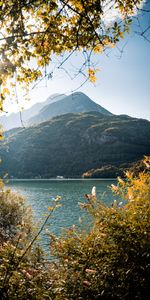 Nature,Buissons,Branches,Montagnes,Lac