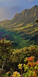 Nature,Mountains,Bush,Landscape,Plants