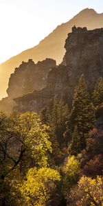 Nature,Forêt,Buissons,Les Rochers,Roches,Montagnes