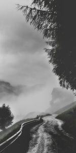 Nature,Mountains,Bw,Trees,Road,Fog,Chb