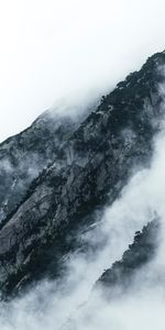 Nuages,Brouillard,Pistes,Pentes,Nature,Montagnes,Végétation