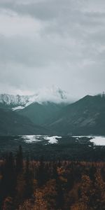 Nature,Mountains,Clouds,Vertex,Forest,Tops,Fog