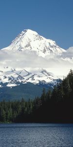 Árboles,Montañas,Nubes,Nieve,Arriba,Pico,Ato,Vértice,Cima,Comió,Naturaleza