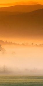 Nature,Mountains,Field,Fog