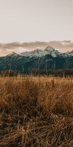 Nature,Mountains,Field,Landscape,Grass