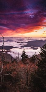 Nature,Mountains,Forest,Clouds,Fog,Landscape