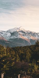 Nature,Mountains,Forest,Snow Covered,Snowbound,Landscape,Vertex,Tops