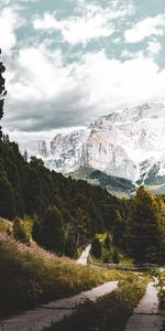 Nature,Mountains,Forest,Track,Landscape