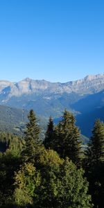 Naturaleza,Montañas,Bosque,Paisaje,Árboles