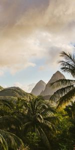 Nature,Montagnes,Île,Palms,Paysage