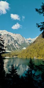 Nature,Mountains,Lake,Branches,Fir,Spruce,Landscape