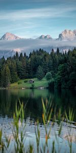 Naturaleza,Montañas,Lago,Bosque,Pequeña Casa,Logia,Césped