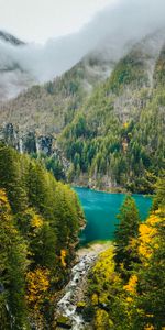 Lac,Forêt,Vallée,Nature,Montagnes,Paysage