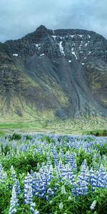 Montagnes,Nature,Paysage