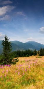 Paisaje,Montañas,Naturaleza