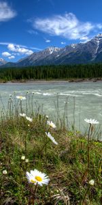 Nature,Mountains,Parks,Rivers Canada,Vermilion Kootenay,Camomile,Landscape