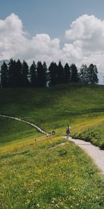 Arbres,Les Collines,Collines,Montagnes,Pré,Nature,Chemin,Paysage