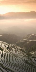 Naturaleza,Montañas,Niebla,Campos De Arroz,Arrozales